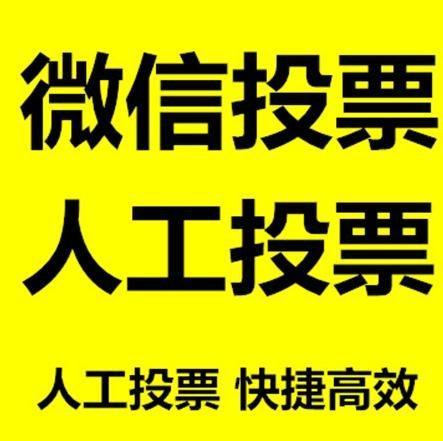 南昌市投票活动拉票能被查出来吗？如何操作能不被发现？